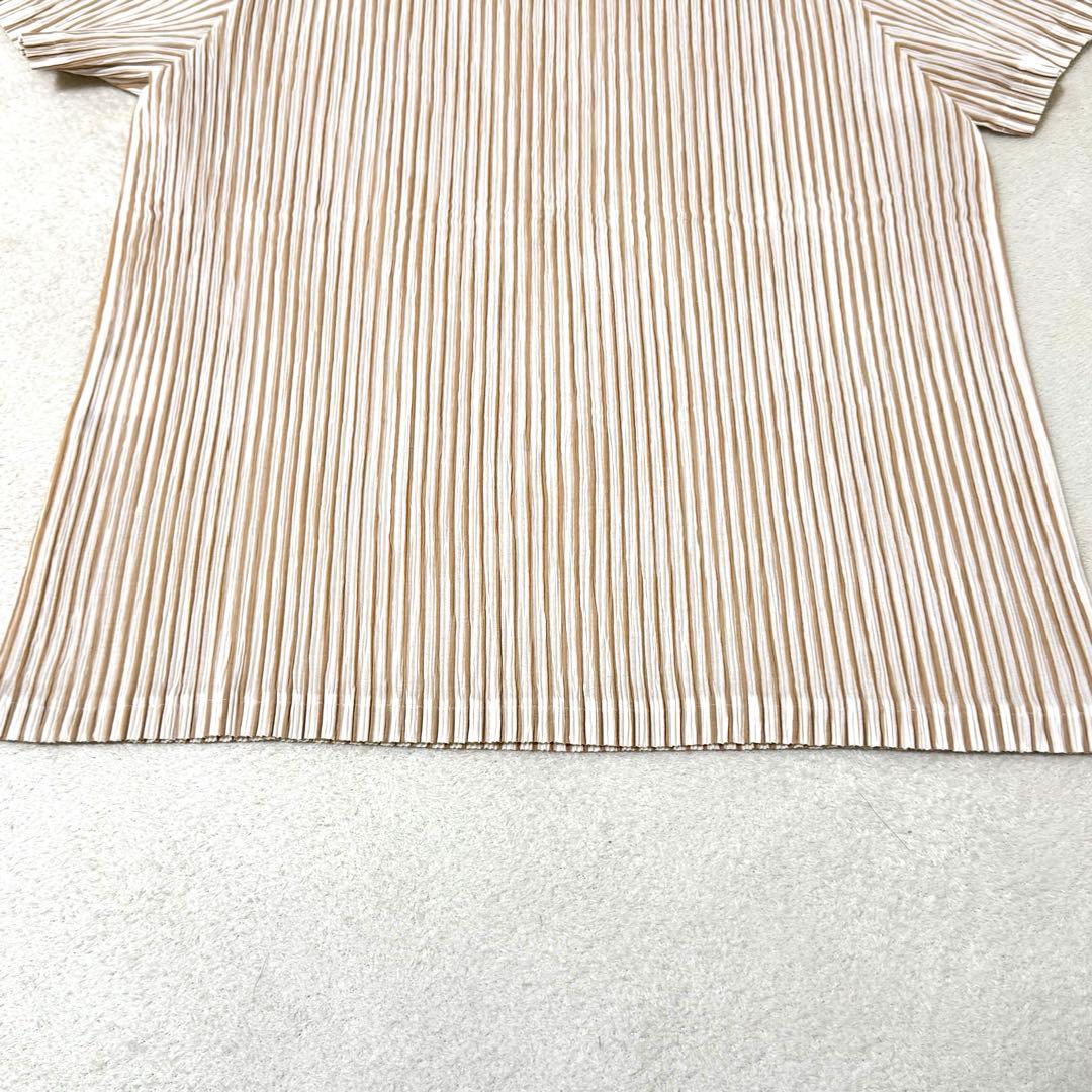 極美品✨ISSEY MIYAKE プリーツ　ストライプ　ブラウン　ホワイト　半袖