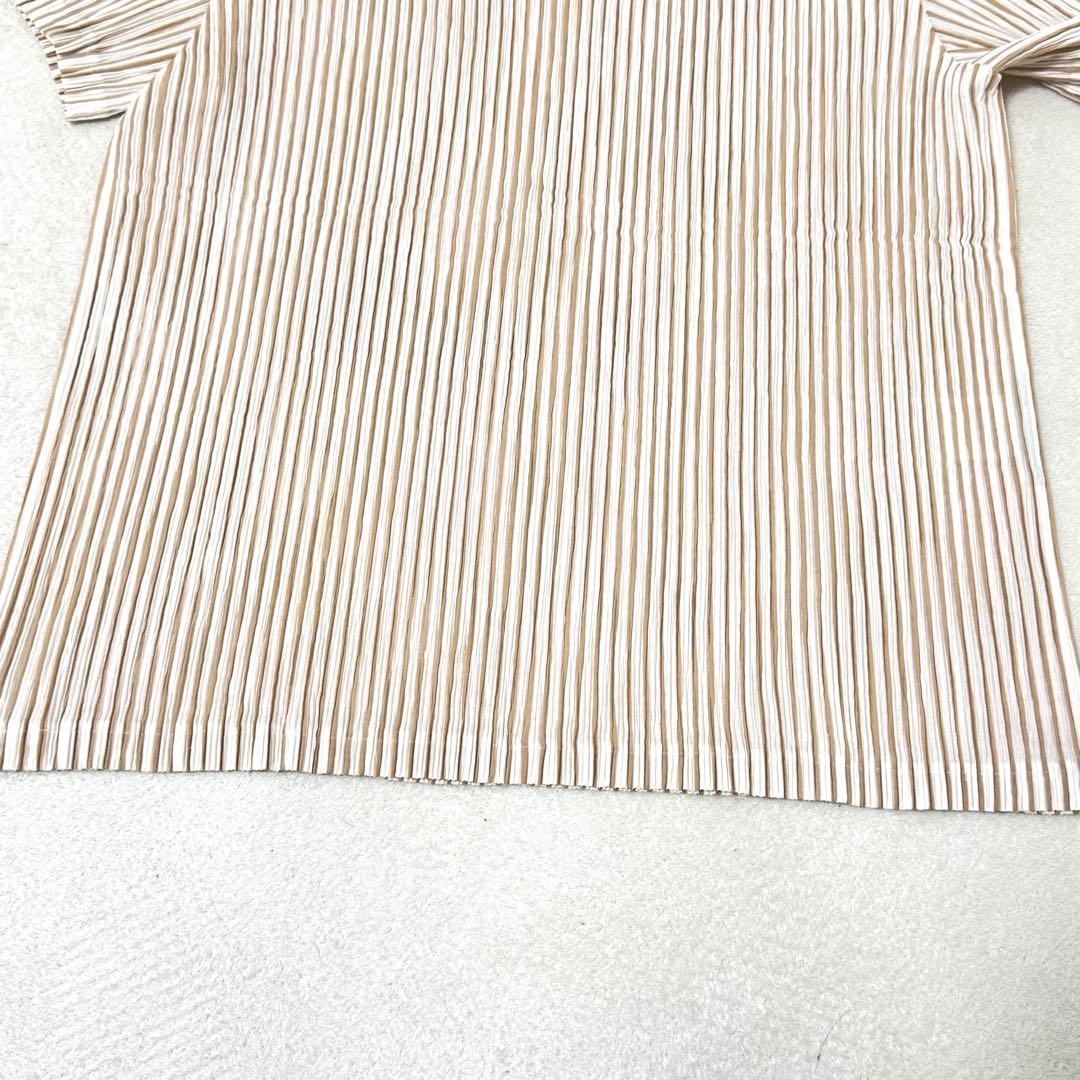 極美品✨ISSEY MIYAKE プリーツ　ストライプ　ブラウン　ホワイト　半袖