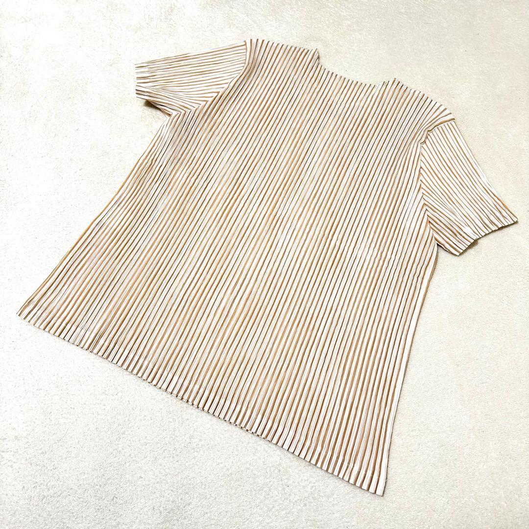 極美品✨ISSEY MIYAKE プリーツ　ストライプ　ブラウン　ホワイト　半袖