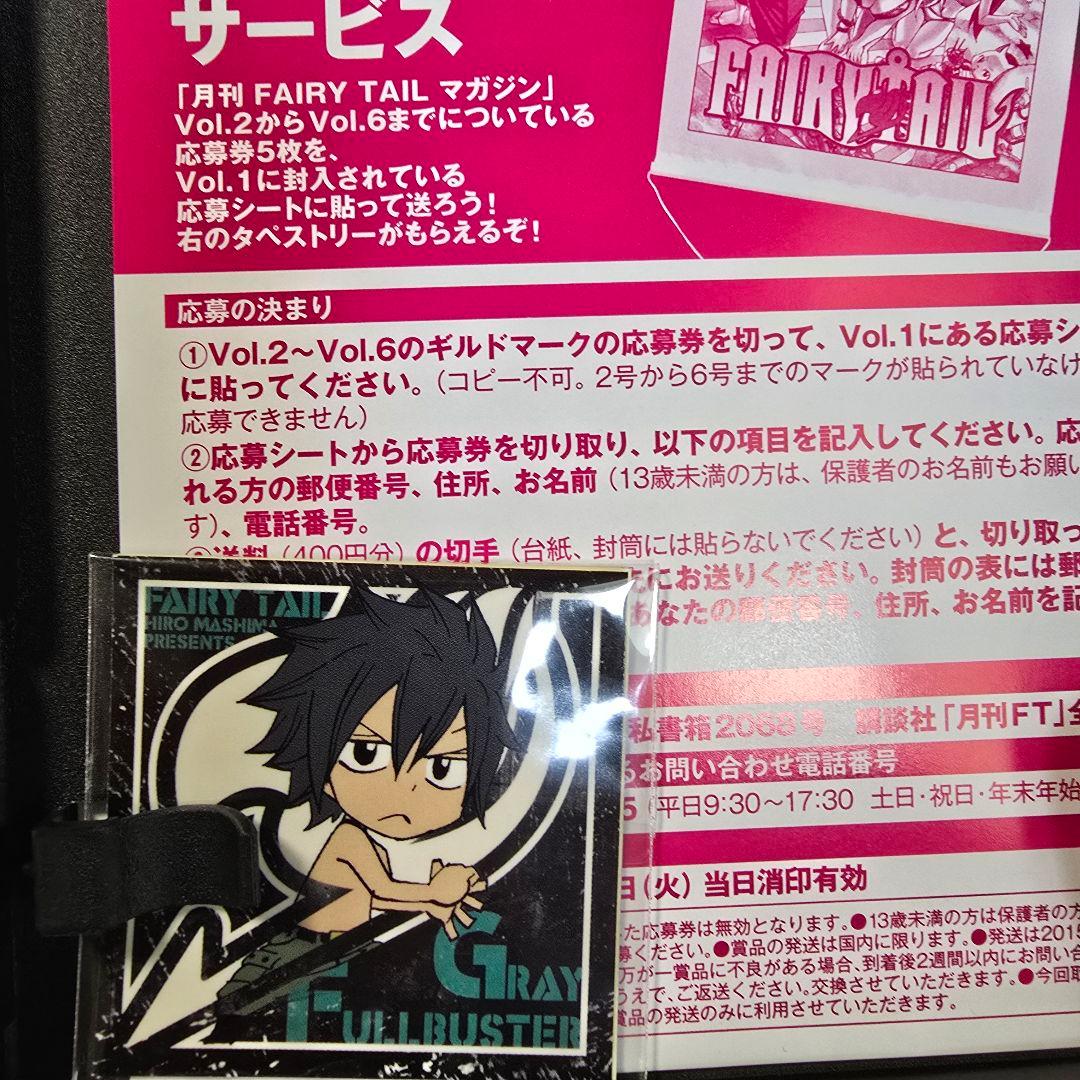 月刊 FAIRY TAIL マガジン 1-13巻