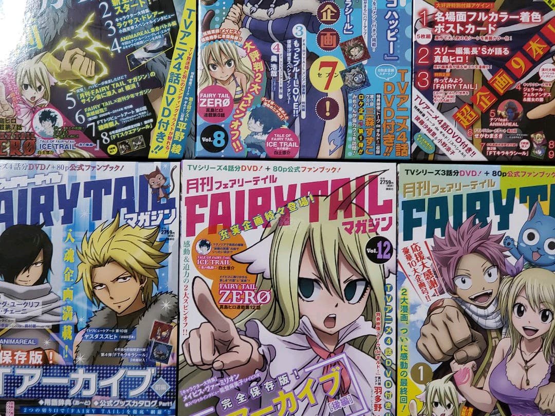 月刊 FAIRY TAIL マガジン 1-13巻