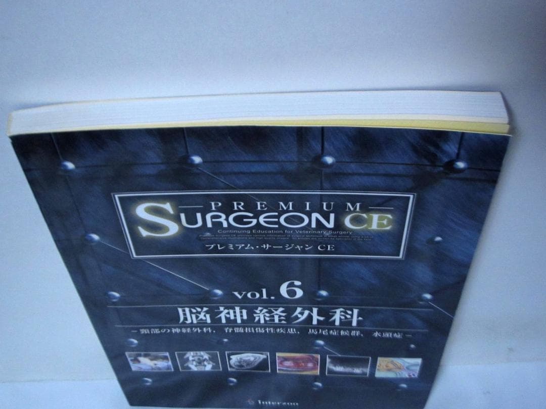 プレミアム・サージャンCE vol.6 脳神経外科 インターズー