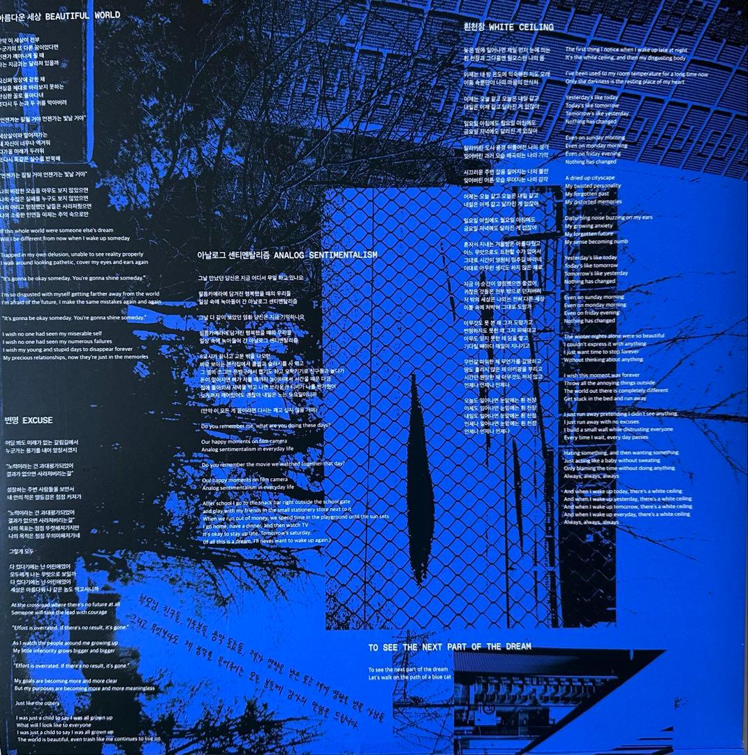 Parannoul『To See The Next〜』2LP 韓国シューゲイザー