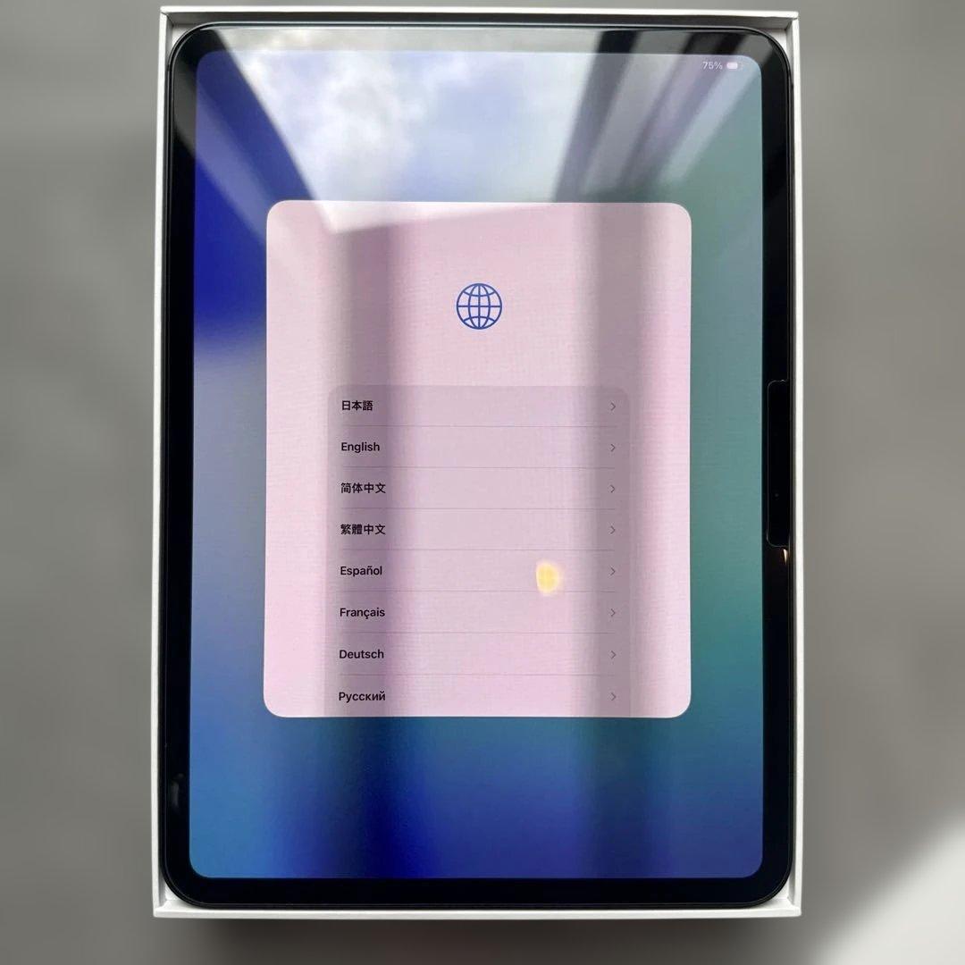 【美品】iPad Pro 11インチ（M4）Wi-Fi 256GB