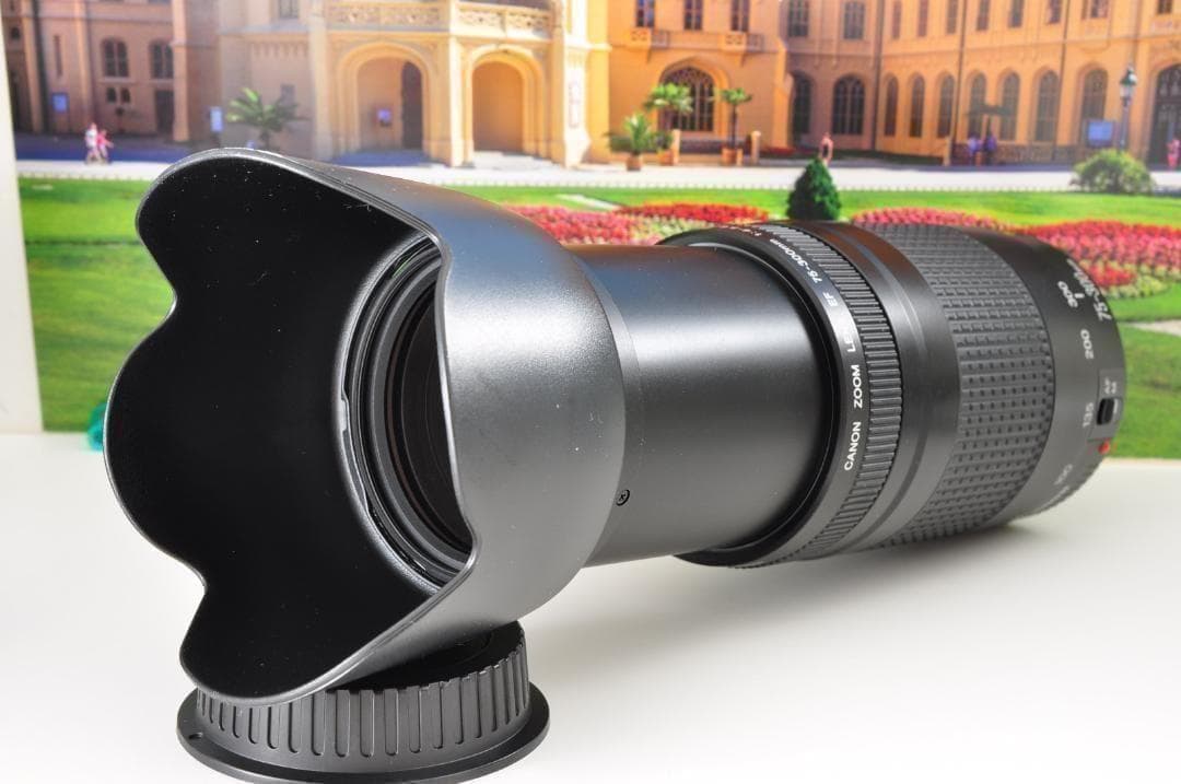 望遠レンズ キヤノン Canon 迫力の75-300mm レンズフード付き！