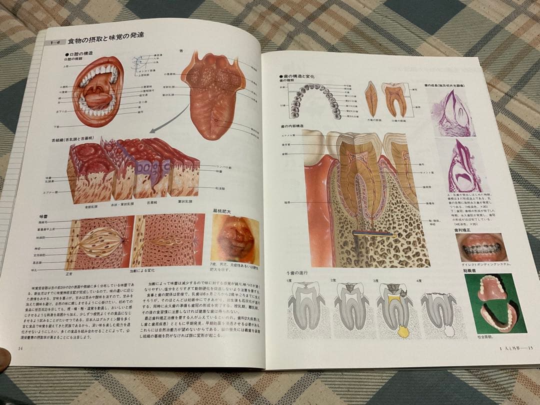 ナースが視る病気と、ナースが視る人体（医学書）講談社。【これから医師を目指す方】