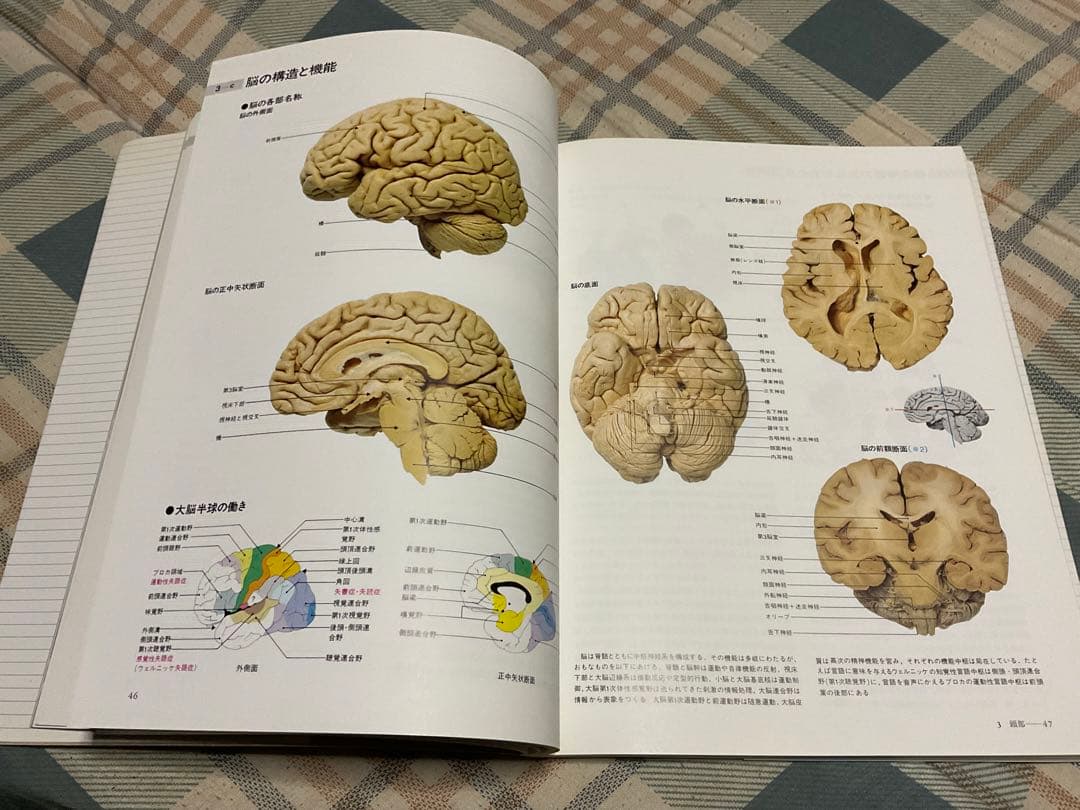 ナースが視る病気と、ナースが視る人体（医学書）講談社。【これから医師を目指す方】