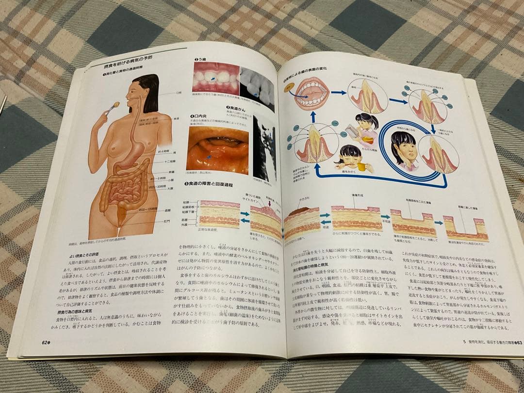 ナースが視る病気と、ナースが視る人体（医学書）講談社。【これから医師を目指す方】