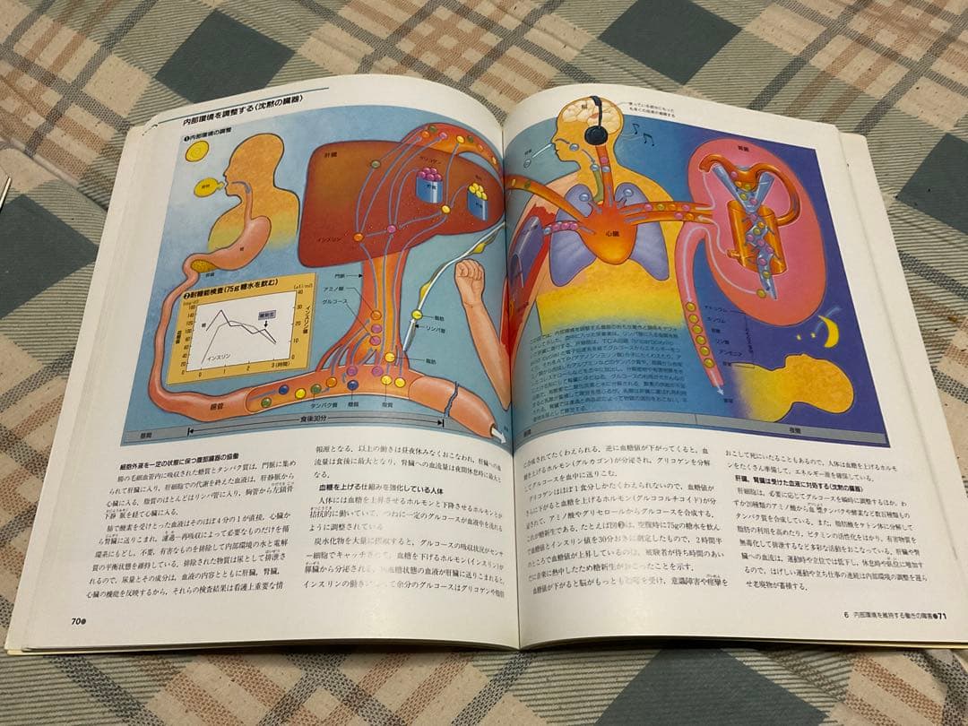 ナースが視る病気と、ナースが視る人体（医学書）講談社。【これから医師を目指す方】