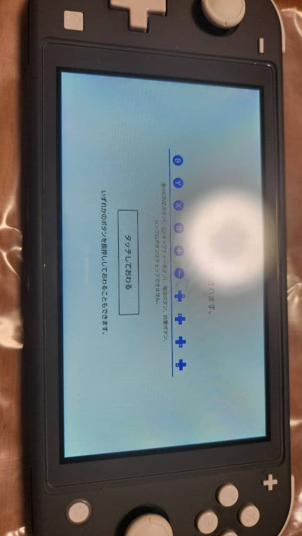 ジャンク　Switch Lite