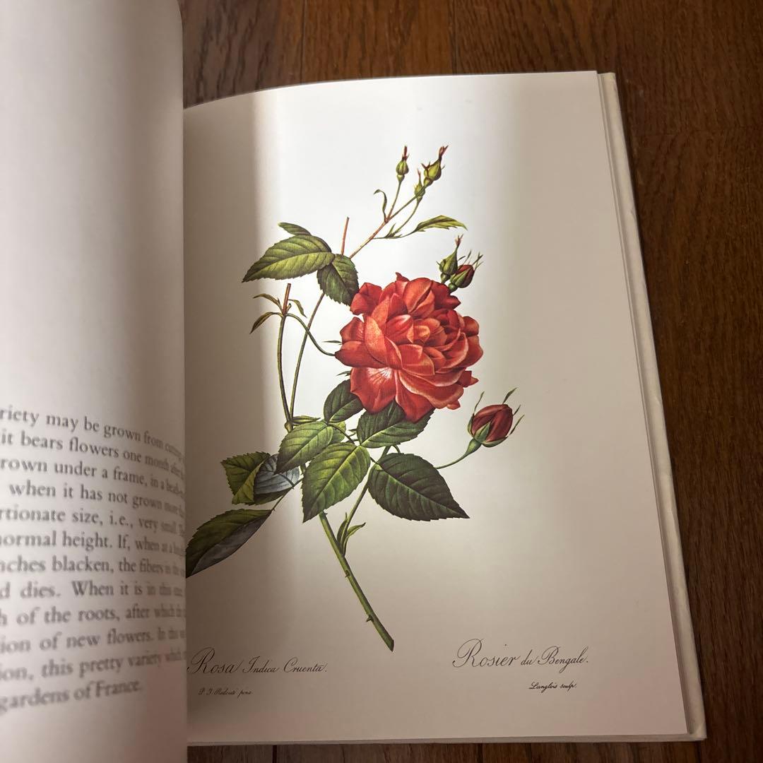 P.J. REDOUTÉ Roses アートブック