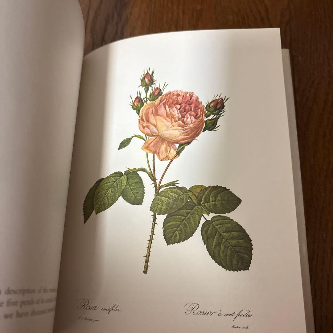 P.J. REDOUTÉ Roses アートブック