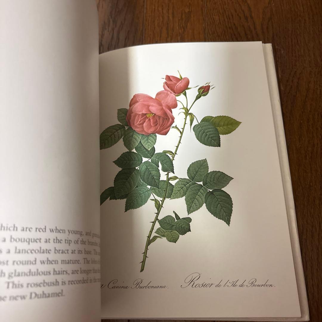 P.J. REDOUTÉ Roses アートブック
