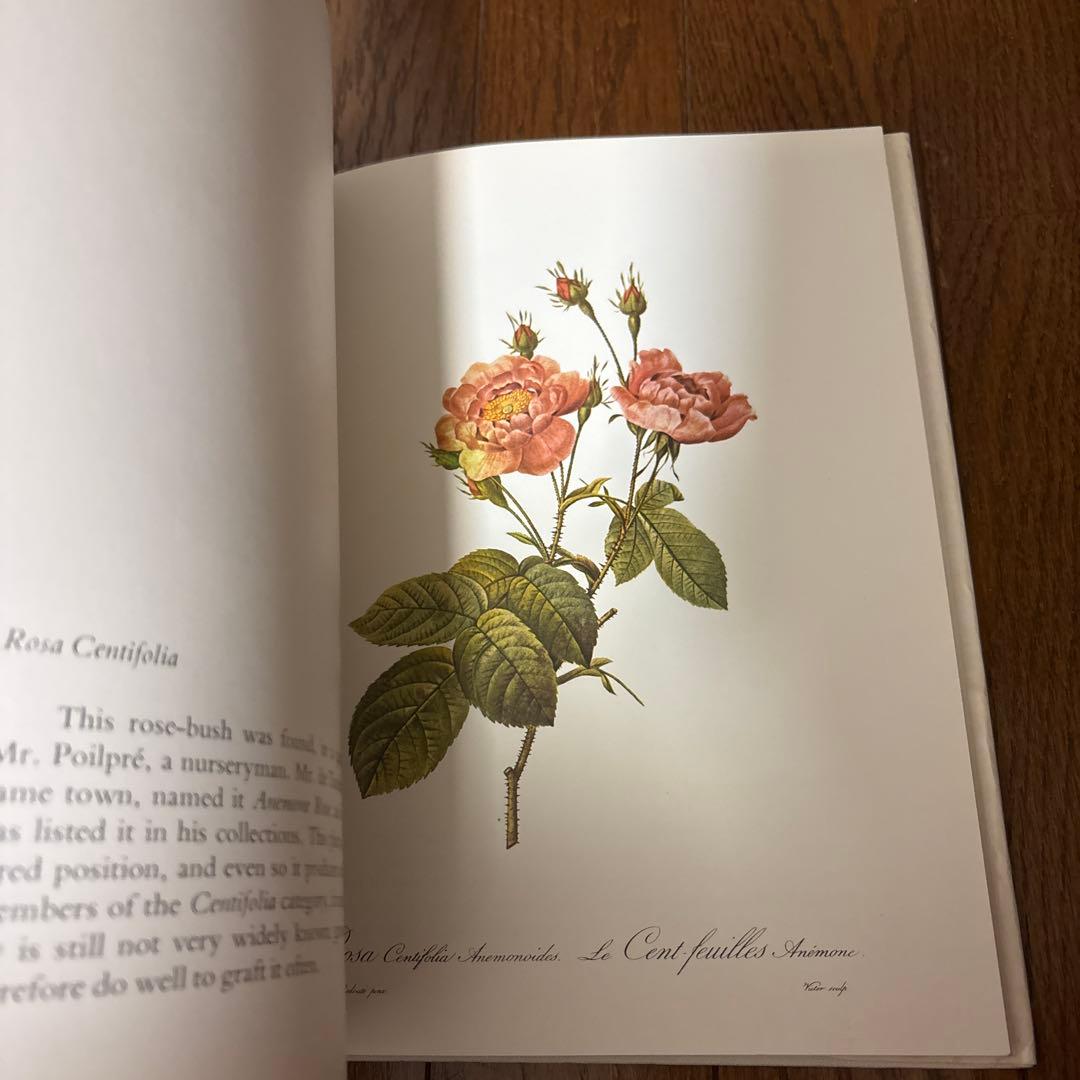 P.J. REDOUTÉ Roses アートブック