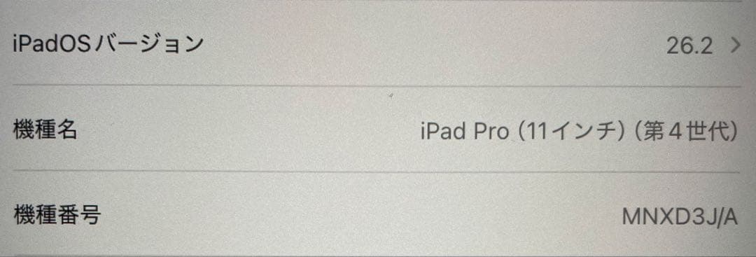 iPad Pro 11インチ 第4世代 128GB Wi-Fiモデル