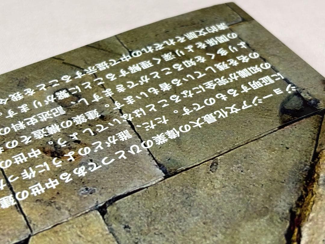 中世ジョージアの建築職人　カフカースにおける建築技術と生産活動