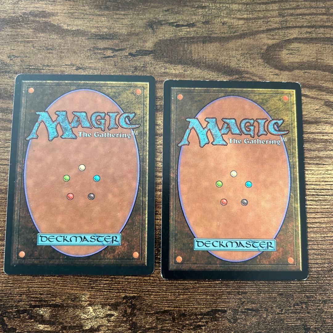MTG 不毛の大地　英語　TMP 2枚セット