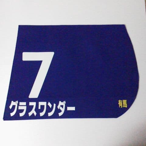 1999年 有馬記念 グラスワンダー レプリカゼッケン