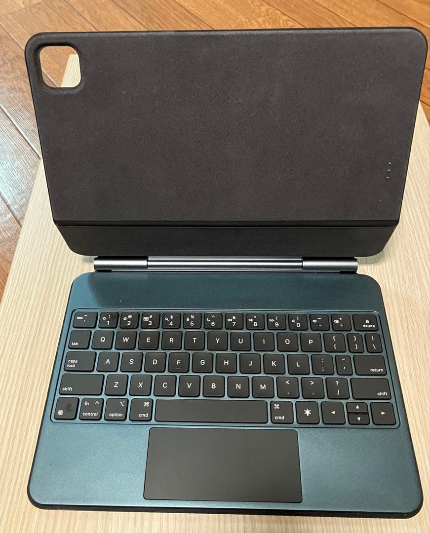 iPad本体 iPad Pro 11 インチ 1T M4 セルラーモデル