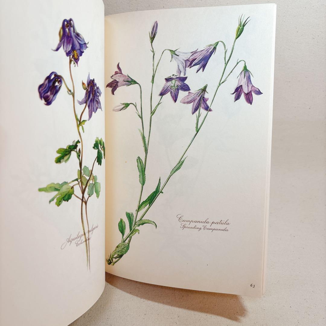 Elsa Flesko 美しい植物図鑑 160枚 植物画 ボタニカル