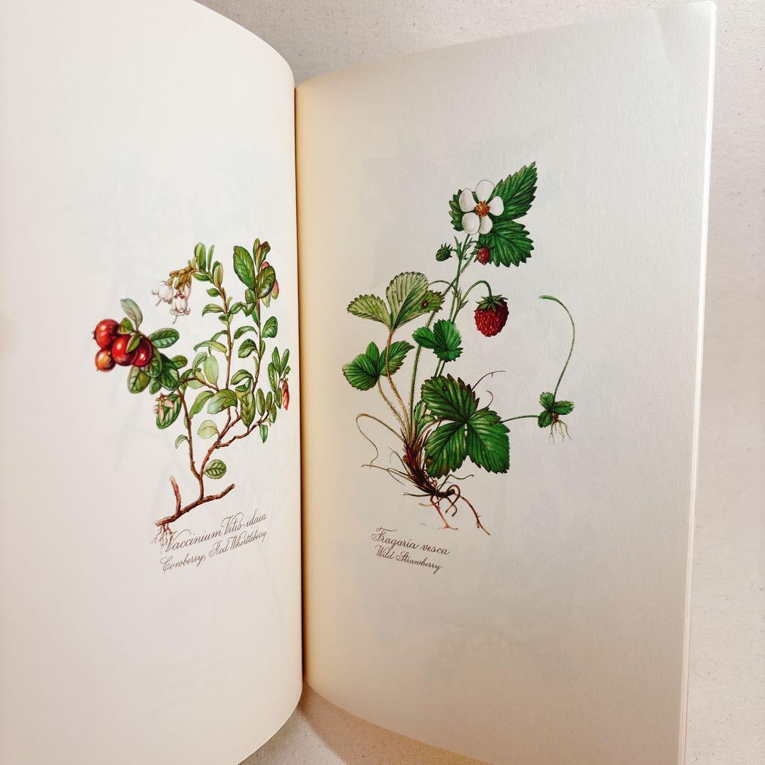 Elsa Flesko 美しい植物図鑑 160枚 植物画 ボタニカル