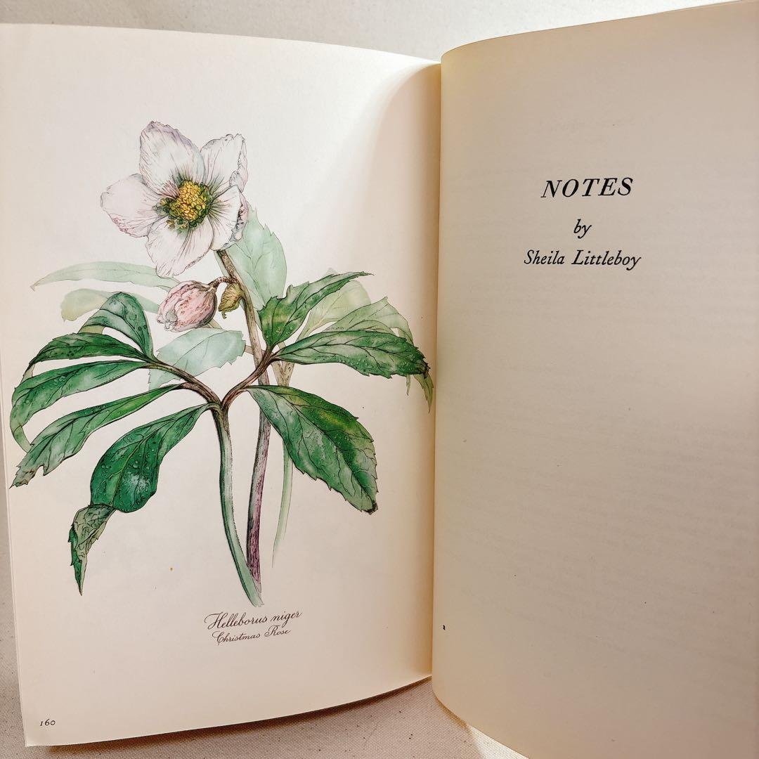 Elsa Flesko 美しい植物図鑑 160枚 植物画 ボタニカル