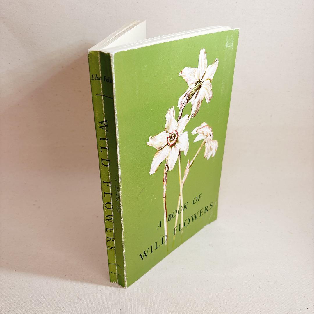 Elsa Flesko 美しい植物図鑑 160枚 植物画 ボタニカル
