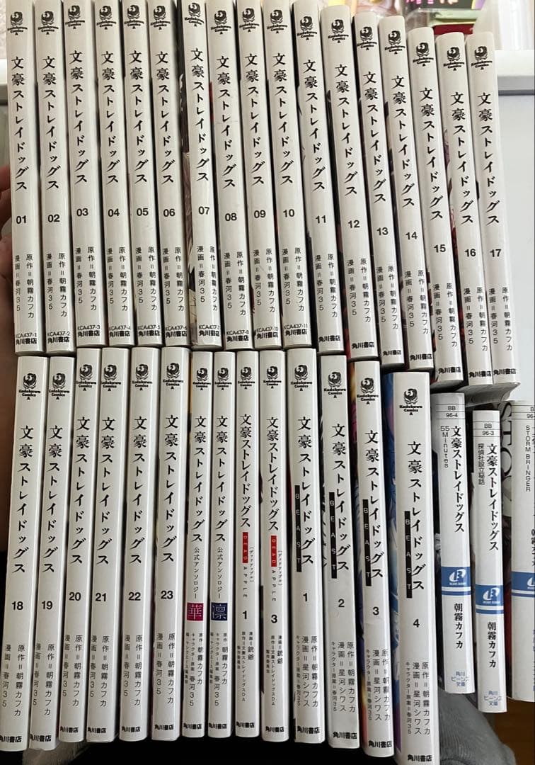 文豪ストレイドッグス 1〜23巻➕関連本11巻