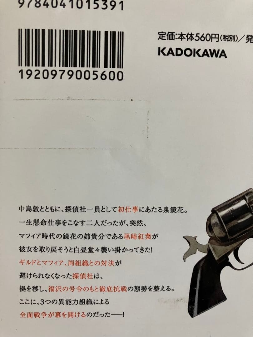 文豪ストレイドッグス 1〜23巻➕関連本11巻