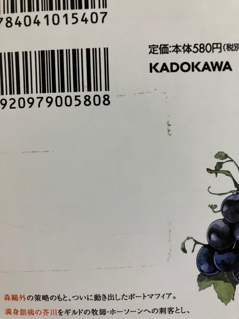 文豪ストレイドッグス 1〜23巻➕関連本11巻