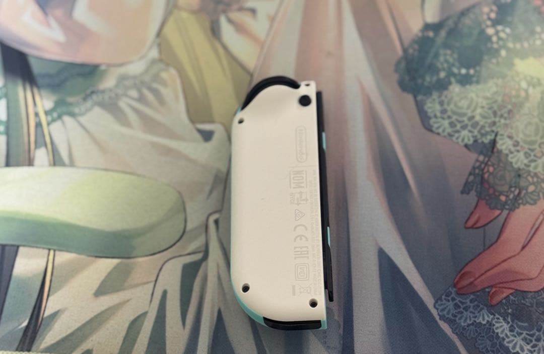 Nintendo Switch 本体 あつまれどうぶつの森セット