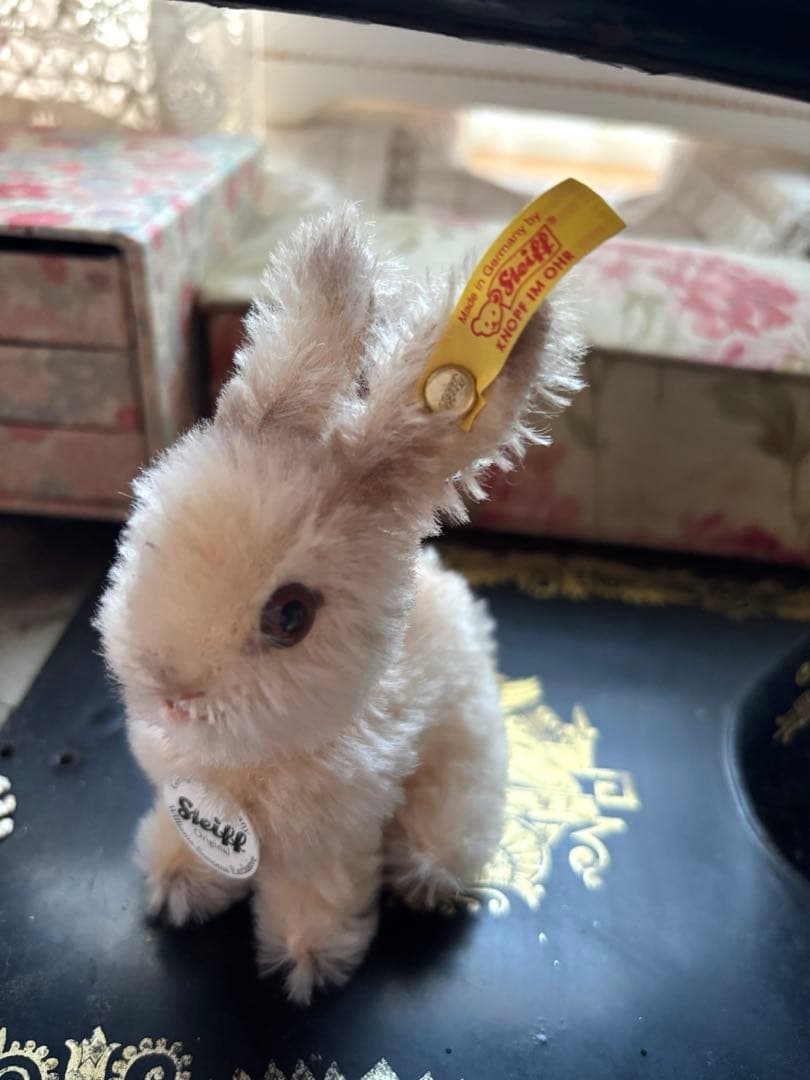シュタイフバニー