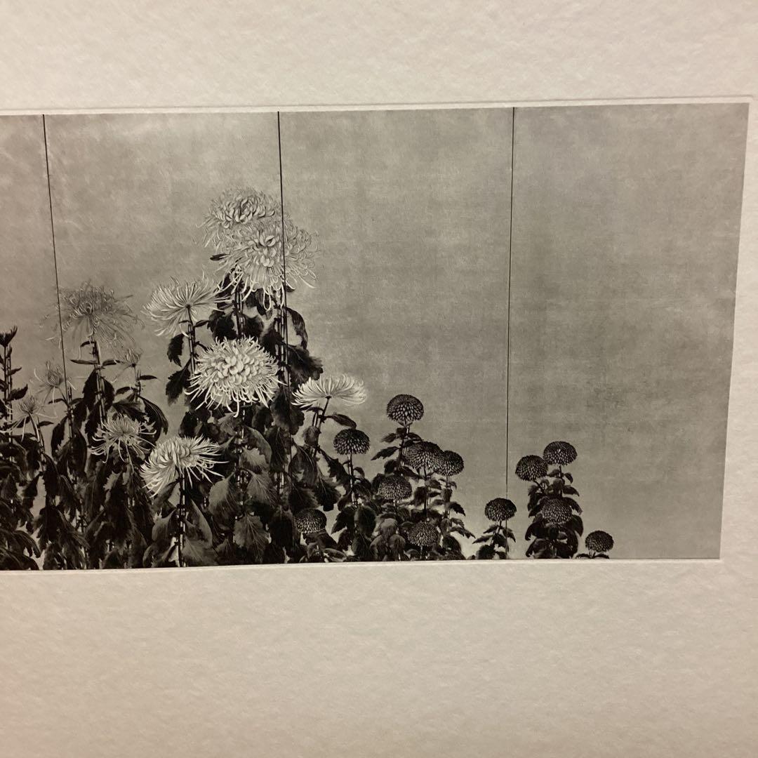 天才画家　速水御舟　作品集大作編　便利堂監修　画集NO 9 【菊花図】