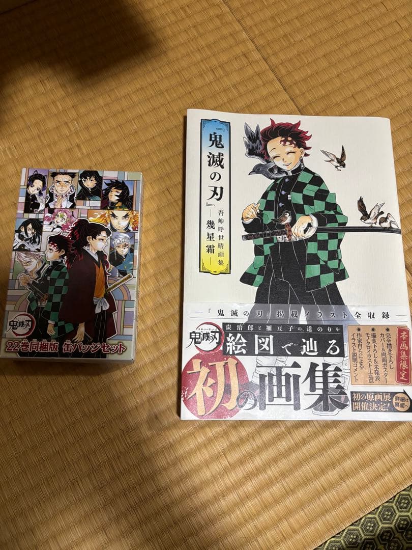 鬼滅の刃 全23巻セット + 缶バッチ+初の画集