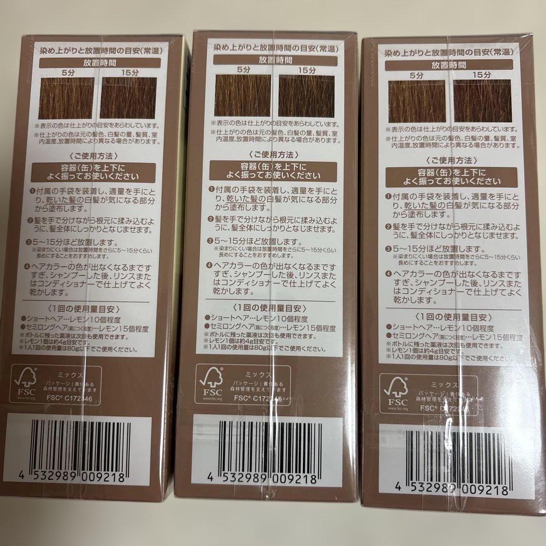 ヘアボーテ エクラ ボタニカルエアカラーフォームEX ライトブラウン ３本