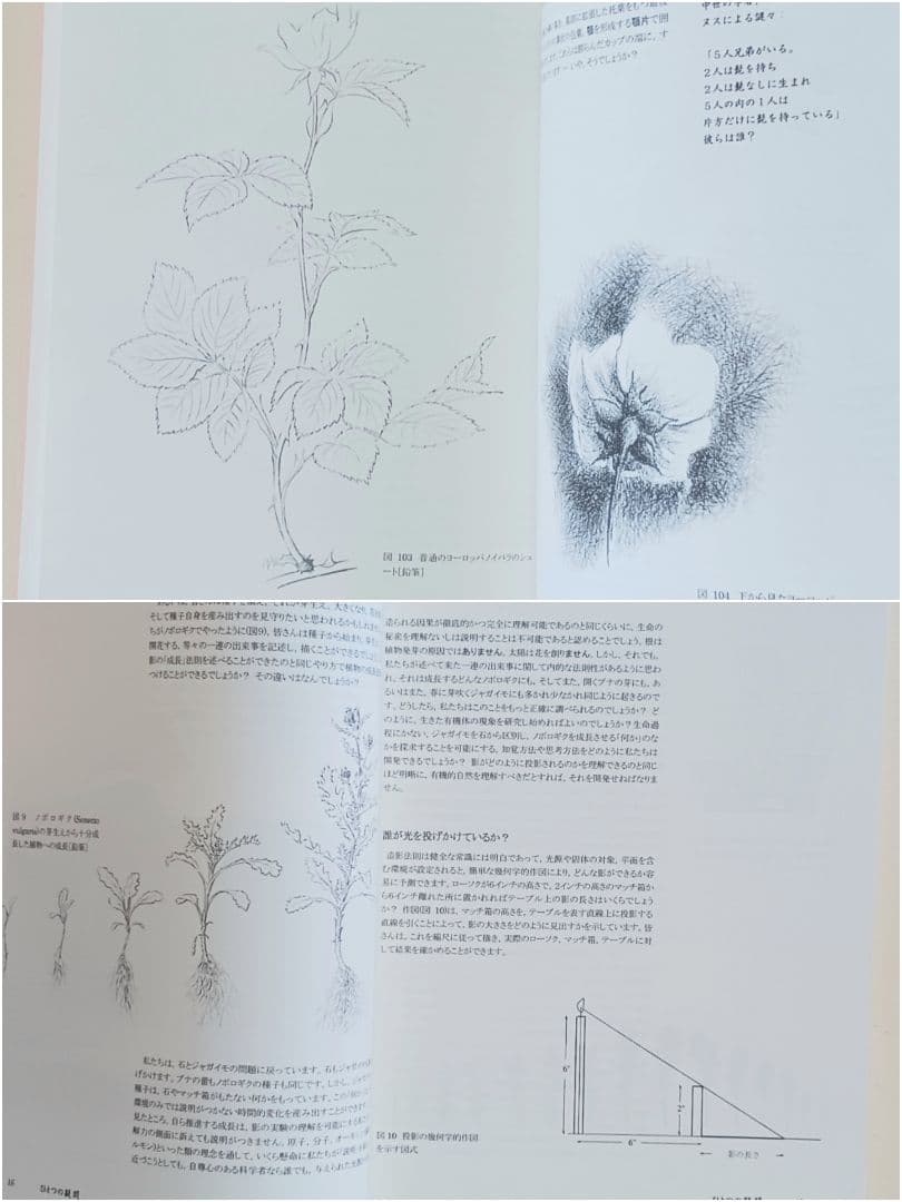 【新品未使用】植物への新しいまなざし ゲーテ＝シュタイナー的植物観察術