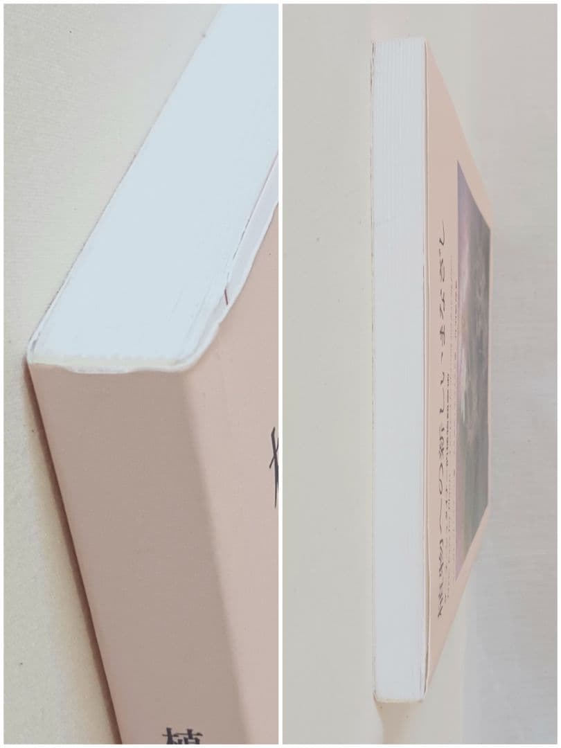 【新品未使用】植物への新しいまなざし ゲーテ＝シュタイナー的植物観察術