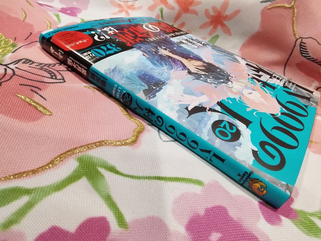 LV 999の村人20巻です❣️