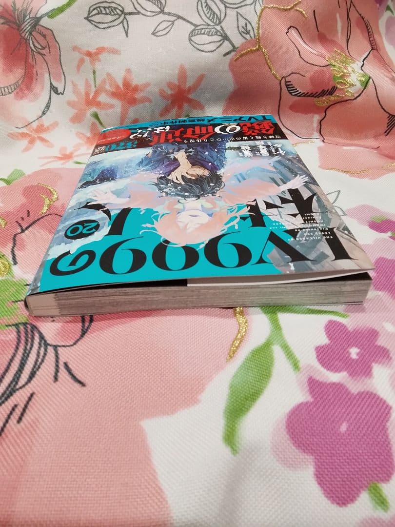 LV 999の村人20巻です❣️