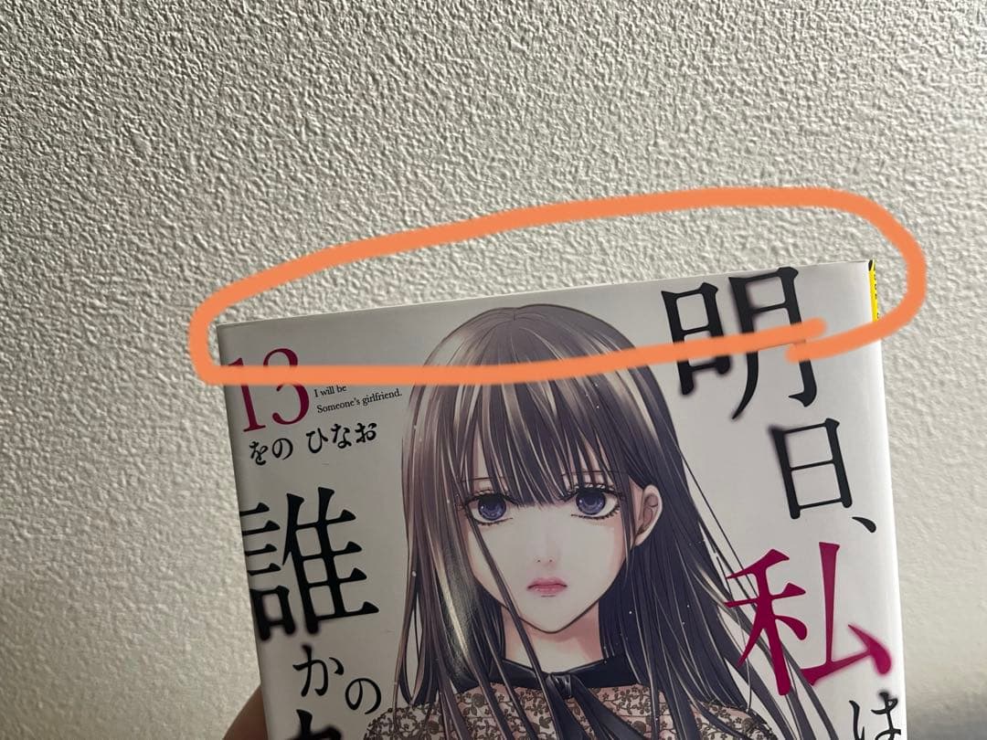 明日、私は誰かのカノジョ 全巻セット 1-17巻　をのひなお