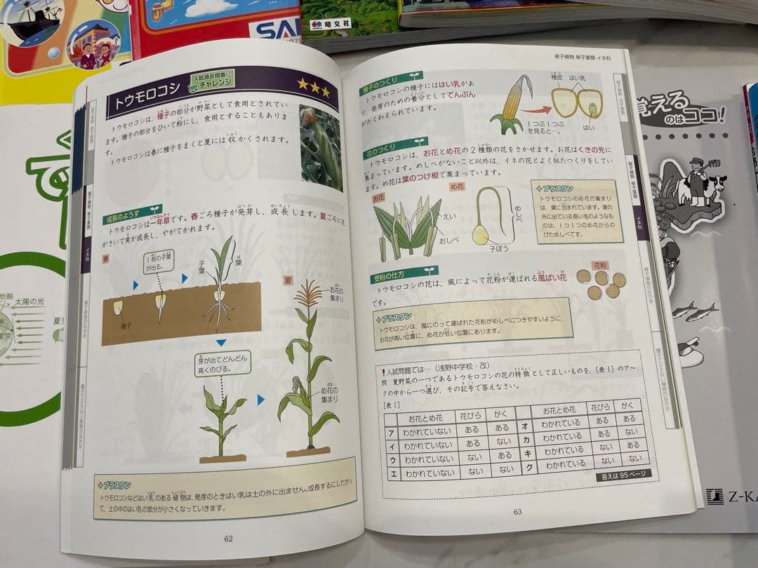 中学受験等に　Z会中学受験シリーズ　等
