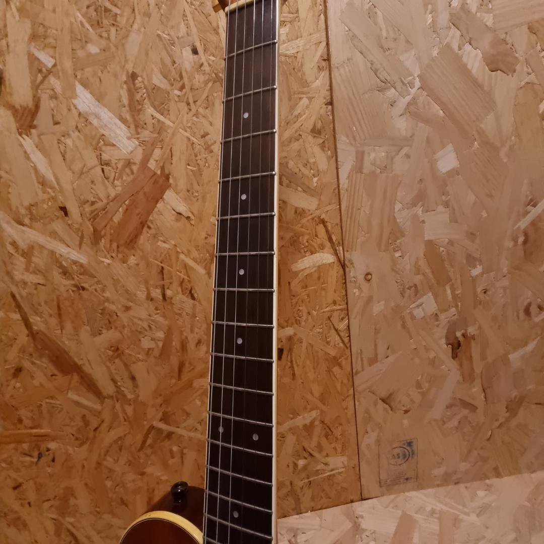 Y*g様 Aria Pro PE-JR750 エレキギター アリアプロ P90