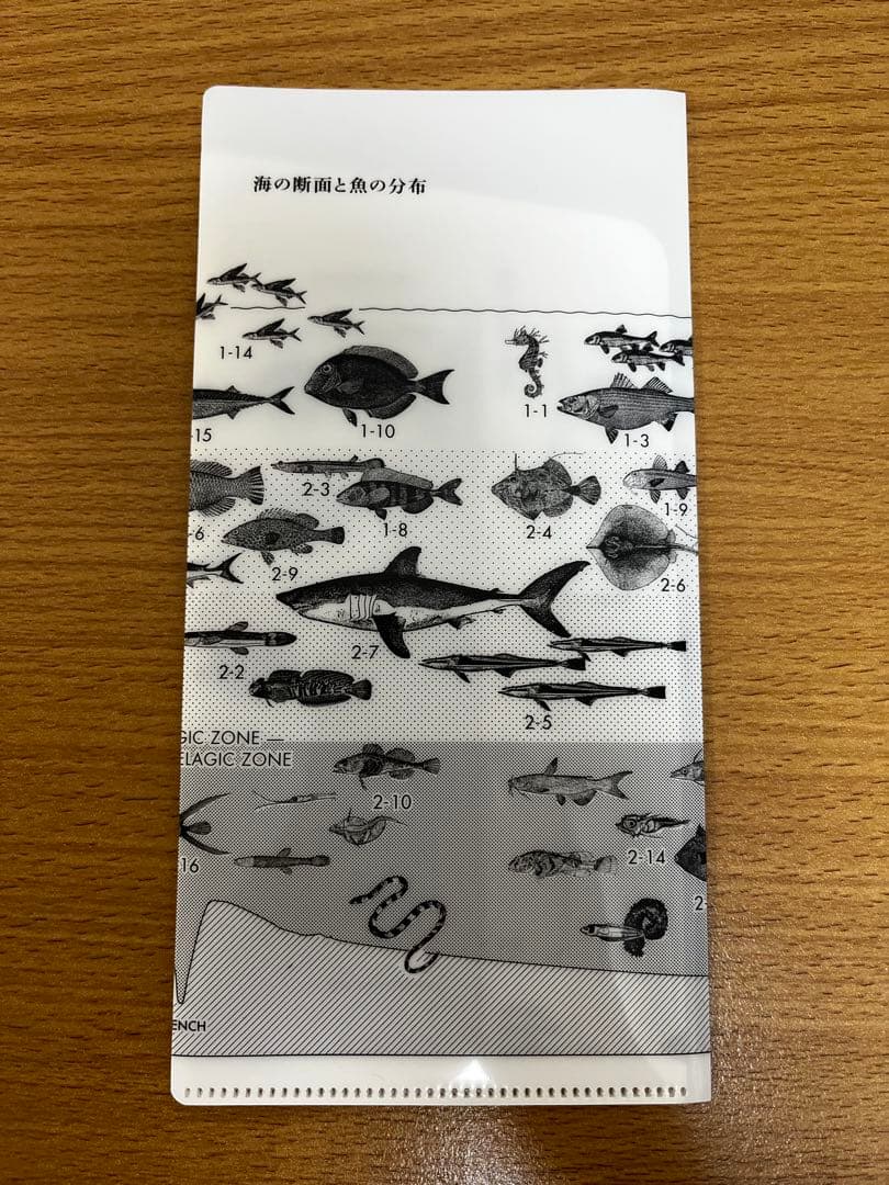 サカナクション　魚図鑑 （完全生産限定盤プレミアムBOX）