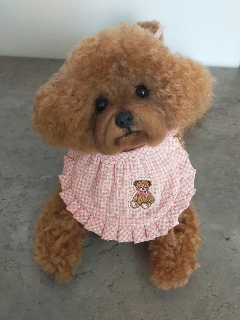 お値下げ！送料込み。今だけ限定スタイ付き♡トイプーちゃん。マズルカット可