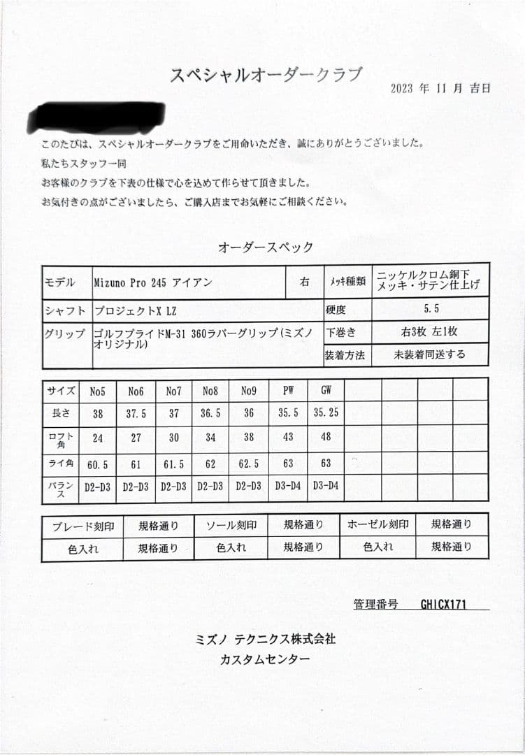 Mizuno Pro 245 アイアン GW