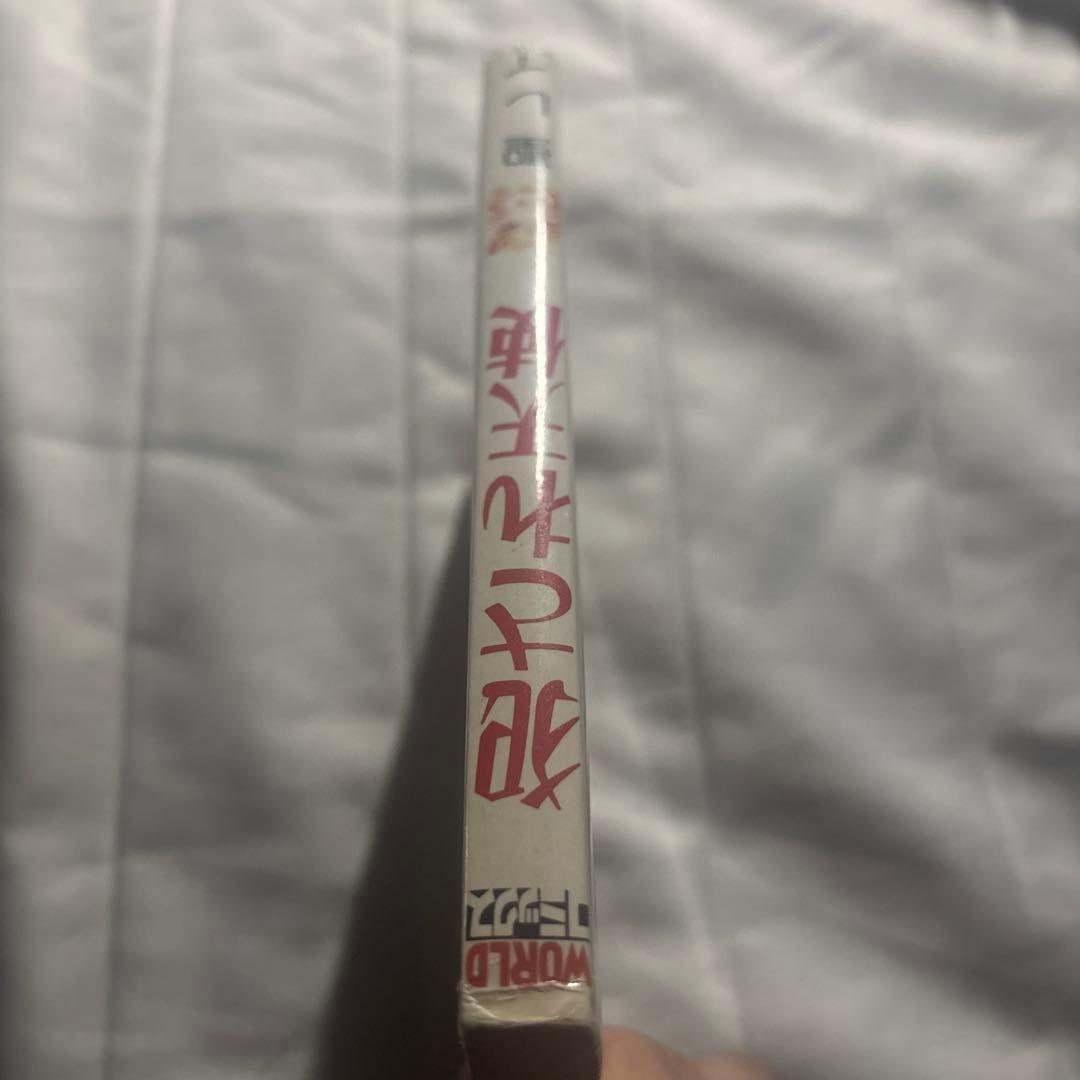 聖レイ　犯され天使　久保書店