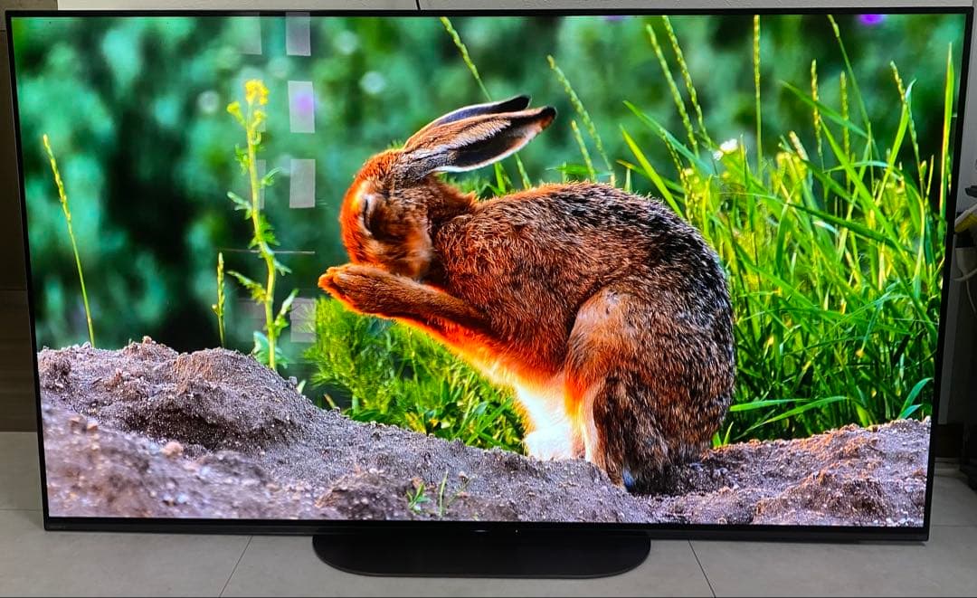 ソニー ブラビア55V型 4K有機ELテレビ KJ-55A9G