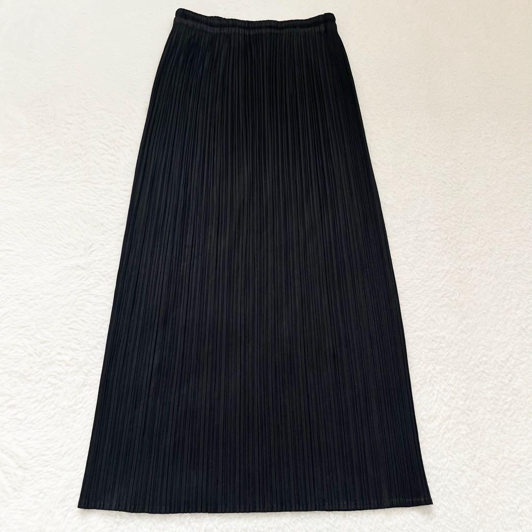 ✨️美品✨️ イッセイミヤケ プリーツプリーズ ロングスカート ブラック