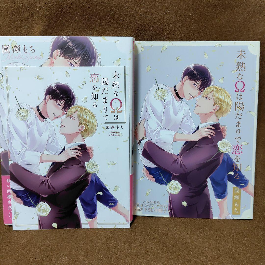 園瀬もち　BL　9冊セット