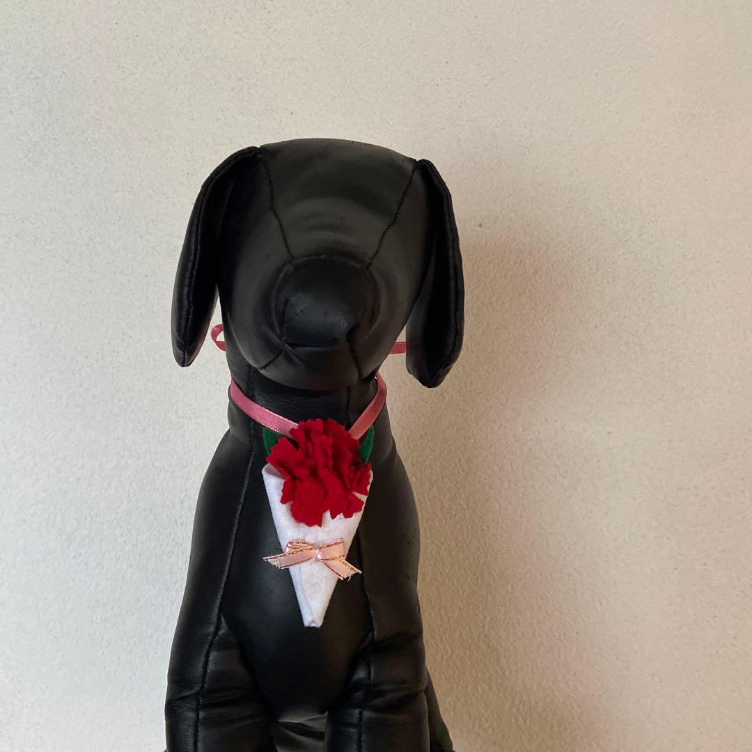 bakutorauです　犬チョーカー　カーネーション
